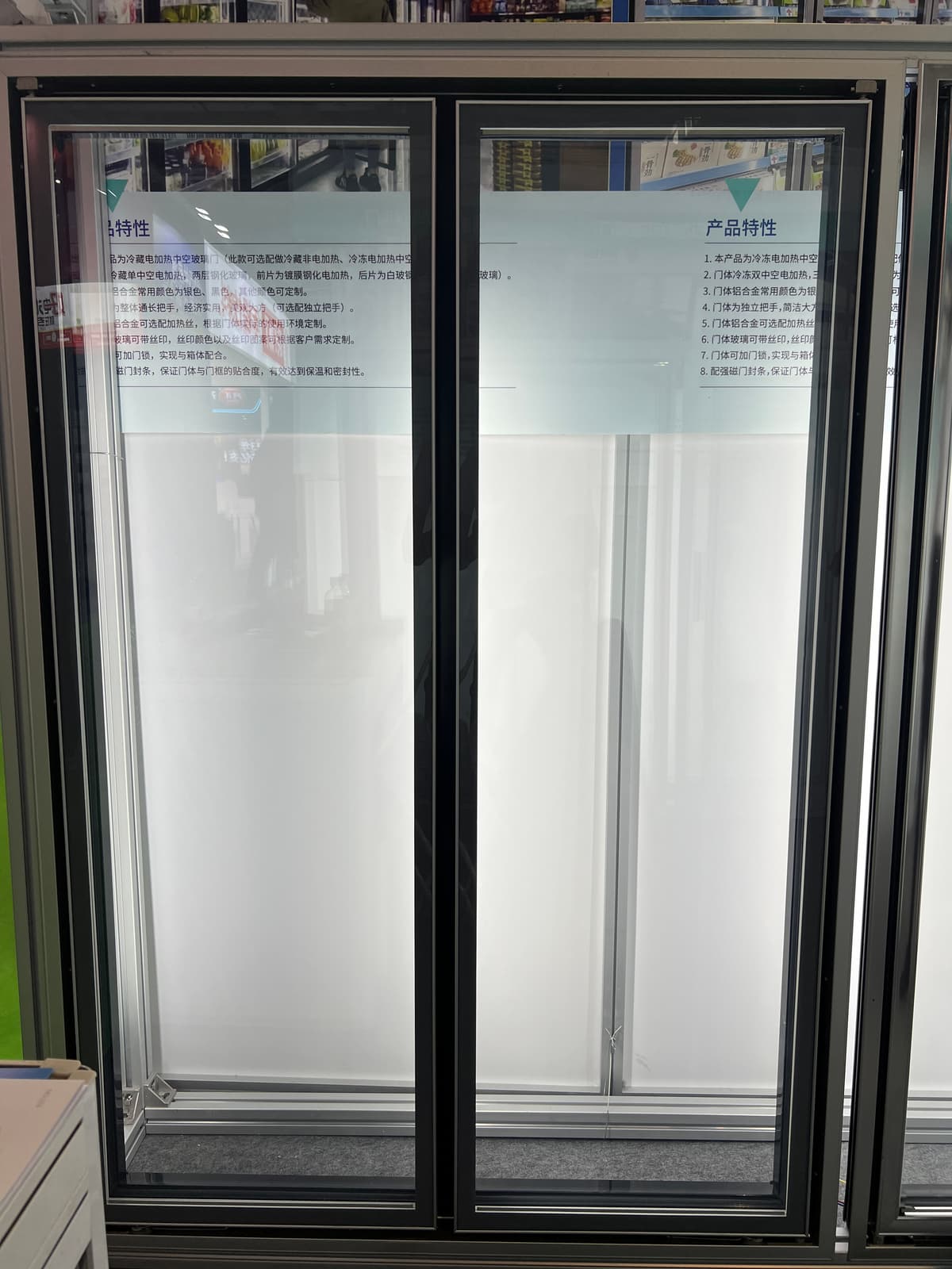 Frameless Glass Door