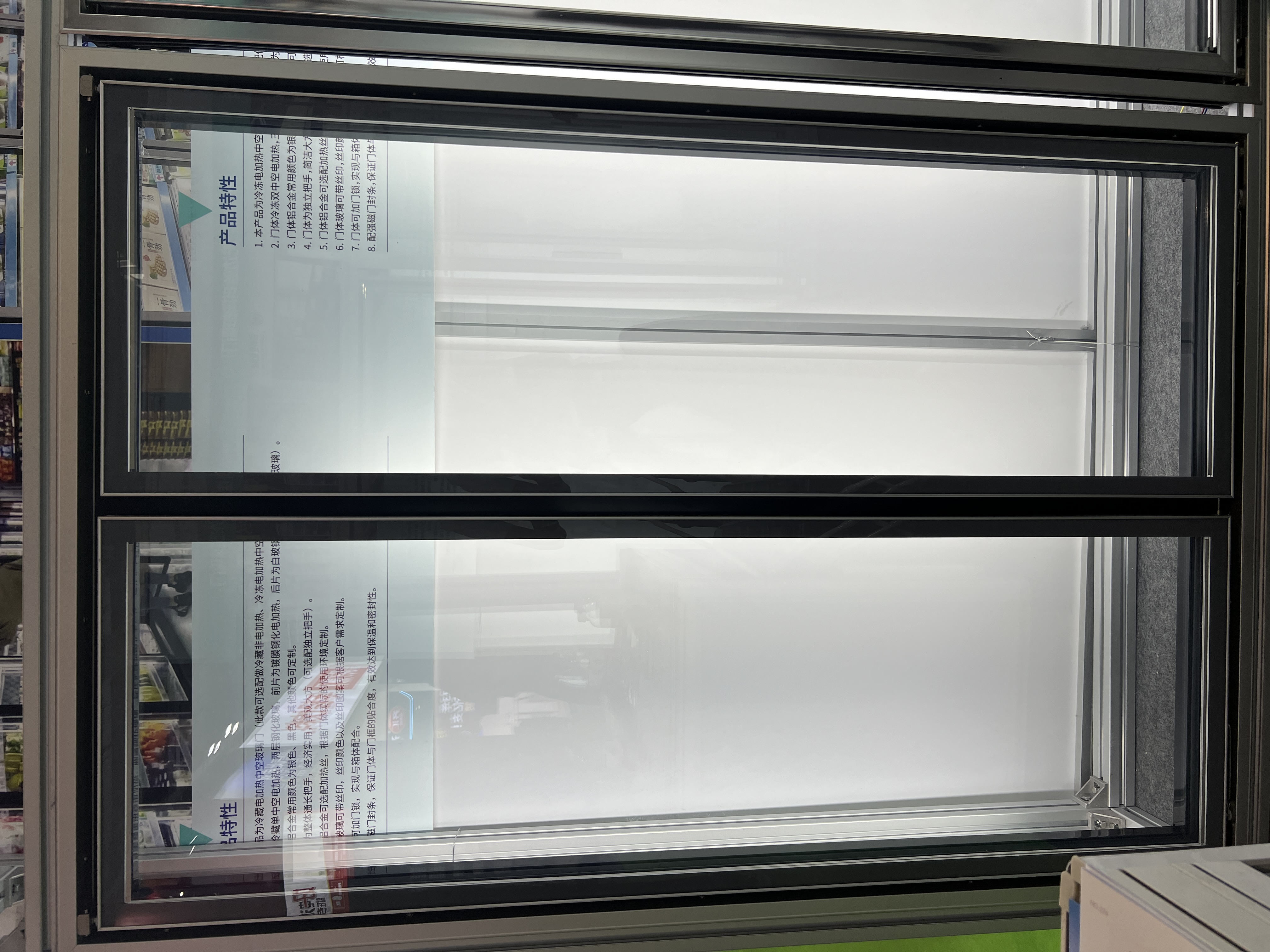 Frameless Glass Door